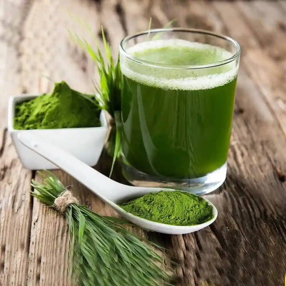 Naveta Barley Grass Powder Reviews