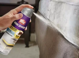 Read more about the article Ortho Bed Bug Spray Reviews: Is Ortho Bed Bug Spray Worth Trying?