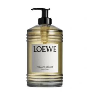 Read more about the article Loewe Hand Soap Review: Is It Worth Trying?