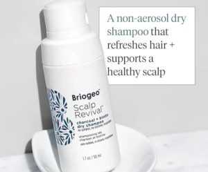 Read more about the article Briogeo Dry Shampoo Review: Is it Worth Your Money?