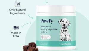 Read more about the article Pawfy Probiotics Review: Is It Worth It? A Comprehensive Guide