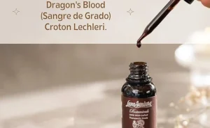 Read more about the article Dragon’s Blood Supplement Review: Is It Worth Trying?