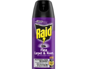 Read more about the article Raid Flea Spray Reviews: Is It a Scam or Worth Trying?