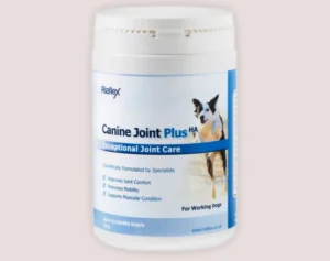 Read more about the article Canine Joint Supplement Reviews: Is It Scam or Legit?