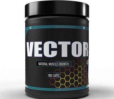 You are currently viewing Vector Supplement Reviews: Is it Worth Trying?