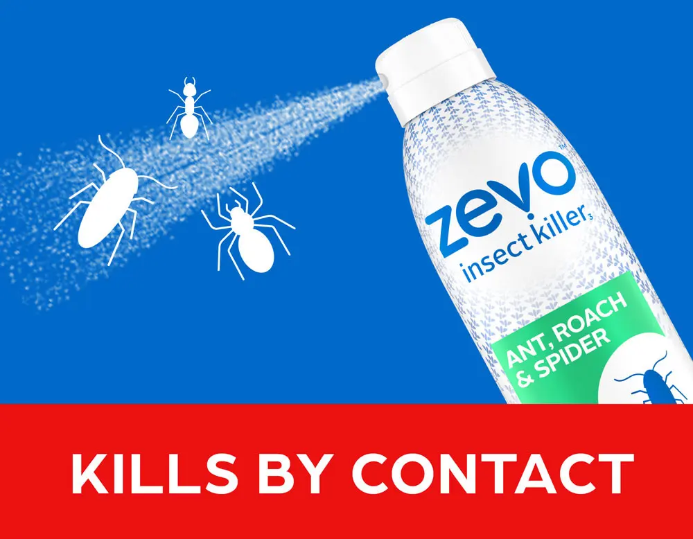 Read more about the article Zevo Bug Spray Reviews: Is Zevo Bug Spray Worth it?