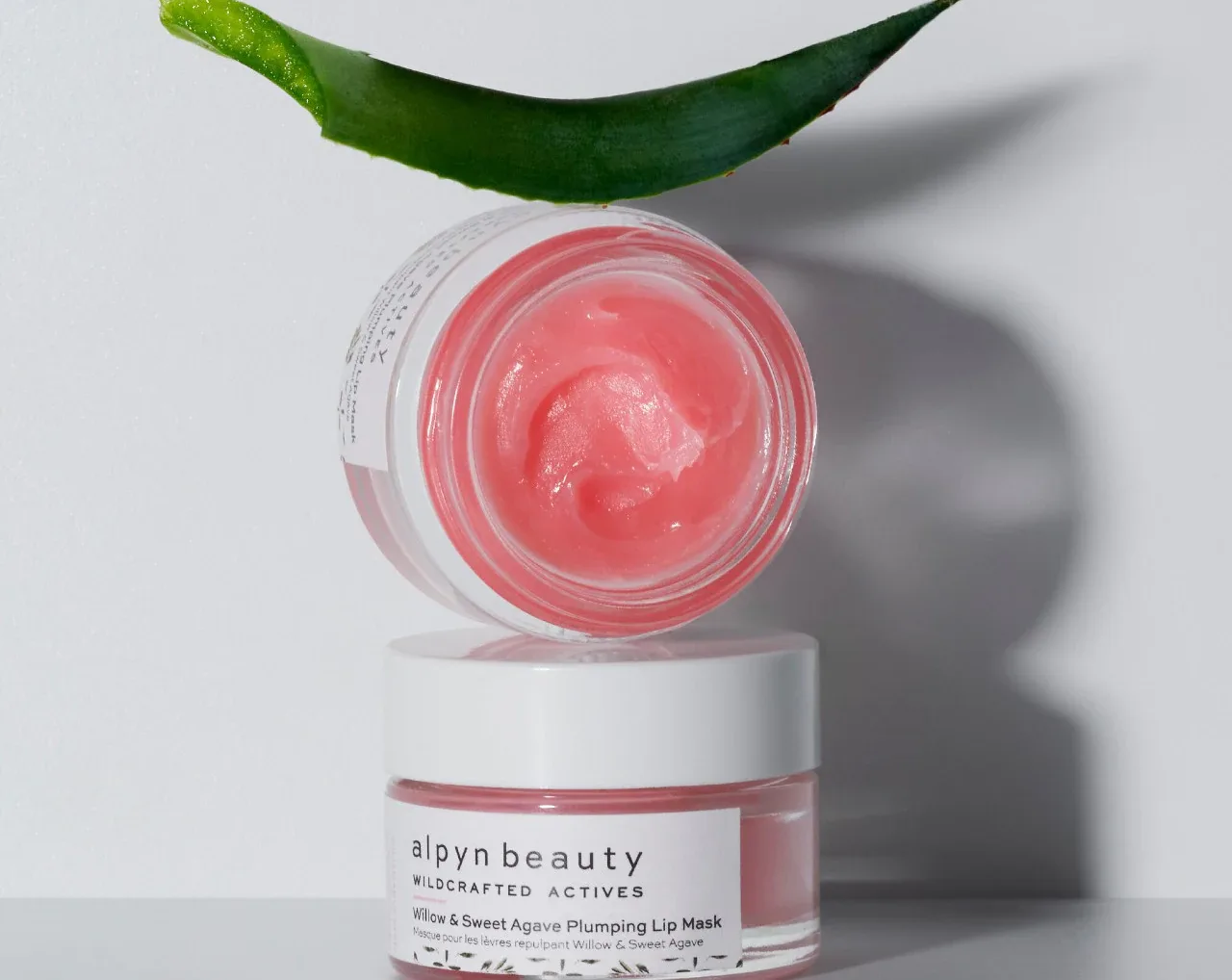 You are currently viewing Alpyn Beauty Lip Mask Review: Should You Try This?