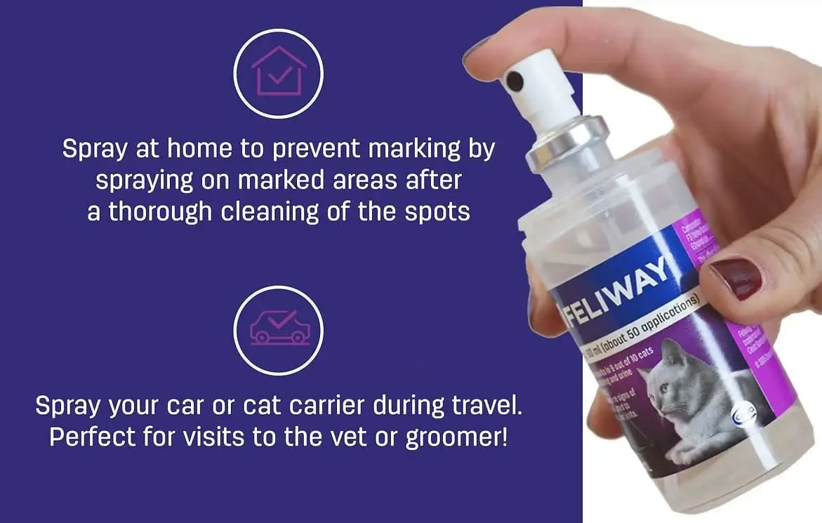 You are currently viewing Feliway Spray Reviews: Is Feliway Spray Worth Trying?