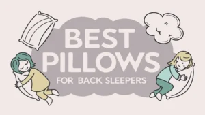 Read more about the article 5 Best Pillows for Back Sleepers in 2025