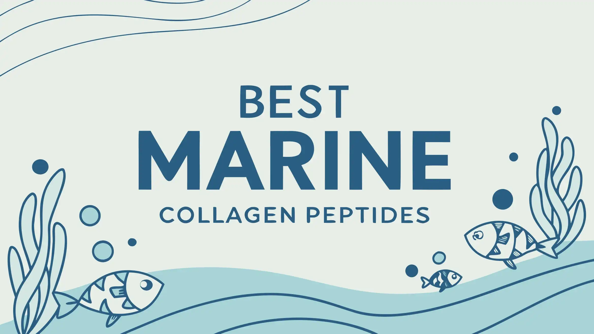 Read more about the article 6 Best Marine Collagen Peptides in 2026